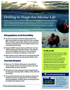 Drilling Is Tragic For Marine Life Our coasts are home to stunning wildlife and incredible beaches, from the Georgia Barrier Islands to the Outer Banks to the Chesapeake Bay. Unfortunately offshore drilling is putting ou