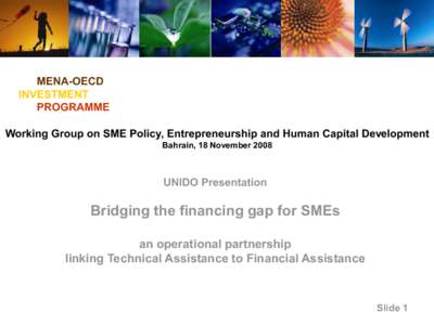 MENA-OECD INVESTMENT PROGRAMME Working Group on SME Policy, Entrepreneurship and Human Capital Development Bahrain, 18 November 2008