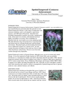 Microsoft Word - spotted knapweed for WI compressed.doc