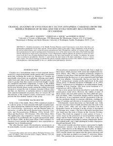Journal of Vertebrate Paleontology 28(1):160–180, March 2008 © 2008 by the Society of Vertebrate Paleontology