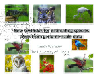 New	methods	for	es-ma-ng	species	 trees	from	genome-scale	data	 Tandy	Warnow The	University	of	Illinois	  Species	Tree	Es9ma9on