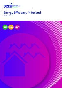 Energy Efficiency in Ireland 2016 Report 1  Energy Efficiency in Ireland