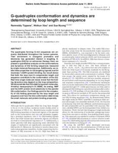 Nucleic Acids Research Advance Access published June 11, 2014 Nucleic Acids Research, doi: nar/gku464 G-quadruplex conformation and dynamics are determined by loop length and sequence