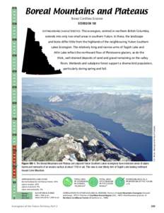 6000  Boreal Mountains and Plateaus Boreal Cordillera Ecozone ECOREGION 180