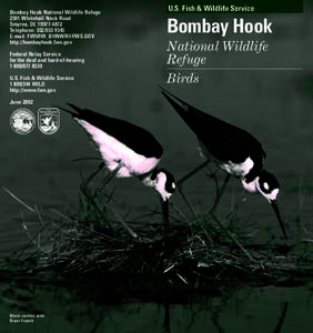 Bombay Hook National Wildlife Refuge 2591 Whitehall Neck Road Smyrna, DE[removed]Telephone: [removed]E-mail: [removed] http://bombayhook.fws.gov