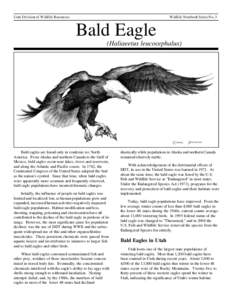 Wildlife Notebook Series No. 3  Utah Division of Wildlife Resources Bald Eagle (Haliaeetus leucocephalus)