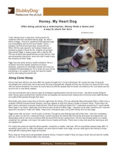 Honey, My Heart Dog After being saved by a veterinarian, Honey finds a home and a way to share her love By Melissa Lipani  I have always been a dog lover, having spent my