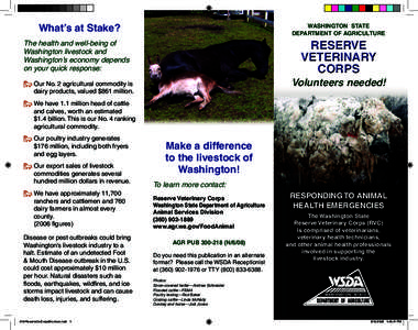 Cattle / Zoology / Biology / Medicine / Iowa Animal Industry Bureau / Veterinary physician / Veterinary Corps / Livestock