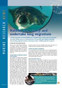 marine research news  NO. 3–2012 Halibut grow slowly and undertake long migrations