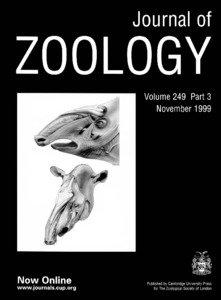 J. Zool., Lond[removed], 249±267 # 1999 The Zoological Society of London Printed in the United Kingdom  The proboscis of tapirs (Mammalia: Perissodactyla): a case