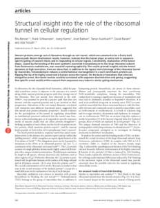 articles  © 2003 Nature Publishing Group http://www.nature.com/naturestructuralbiology Structural insight into the role of the ribosomal tunnel in cellular regulation