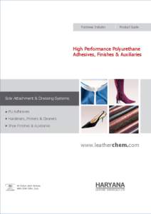 Footwear Industry  Product Guide