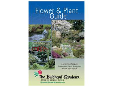 Flower & Plant Guide A selection of popular flowers and plants throughout the off peak season