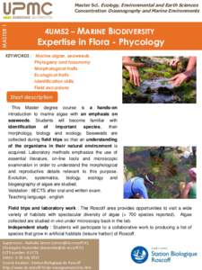 Seaweed / Station biologique de Roscoff / Phycology / Roscoff / Plant / Water / Biology / Algae