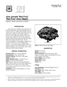Fact Sheet ST-15 November 1993 Acer ginnala ‘Red Fruit’ ‘Red Fruit’ Amur Maple1 Edward F. Gilman and Dennis G. Watson2