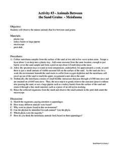 Activity #3 - Animals Between the Sand Grains - Meiofauna Objective: Students will observe the minute animals that live between sand grains.  Materials:
