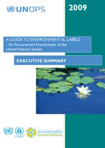 2009  A GUIDE TO ENVIRONMENTAL LABELS - for Procurement Practitioners of the United Nations System