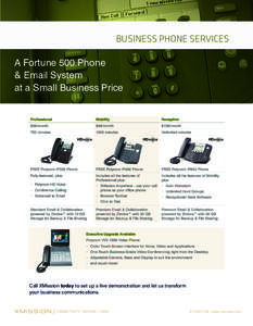 BUSINESS PHONE SERVICES A Fortune 500 Phone & Email System at a Small Business Price Professional