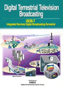 Single Frequency Networks (SFN) Portable Reception