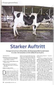 Klauengesundheit  Starker Auftritt Management und Controlling helfen, die Klauengesundheit zu optimieren. Im ersten Teil betrachten wir die stallbaulichen Aspekte. Von Anneke Struck