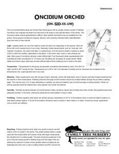 GREENHOUSE  ONCIDIUM ORCHID (ON-SID-EE-UM) This is an extraordinarily large and diverse New World genus with an equally diverse number of habitats. Oncidiums may originate anywhere from sea level in the tropics to the hi