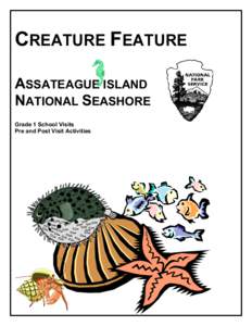 Xiphosura / Living fossils / Horseshoe crab / Arthropods / Assateague Island National Seashore / Crab / Assateague Island / Crustacean / Fiddler crab / Taxonomy / Phyla / Protostome