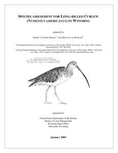 Microsoft Word - Long-billed Curlew - Final _Jan 2006_.doc