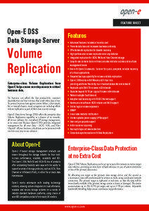 FEATURE SHEET  Open-E DSS
