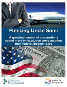 About the Authors Scott Klinger is the Director of Revenue and Spending Policies at the Center for Effective Government. He began his work on excessive executive pay in the mid-1990s when he crafted the first shareholde