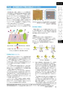 プロトコル  P-44 自己組織化単分子膜(SAMs)をつくりたい I はじめに 　固体表面に結合、集積し、自発的にナノレベルの薄膜を形成 する自己組織化単分子膜 (Self-Asse