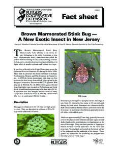 Brown marmorated stink bug / Agriculture / Boxelder bug / Pentatomoidea / Rutgers University / Cooperative extension service / Land management / Geography of New Jersey / Agricultural pest insects / Shield bugs / Pentatomidae