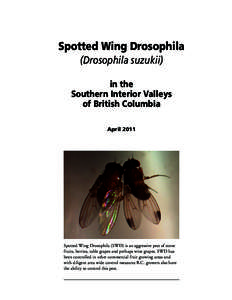 Spotted Wing Drosophila (Drosophila suzukii) in the Southern Interior Valleys of British Columbia