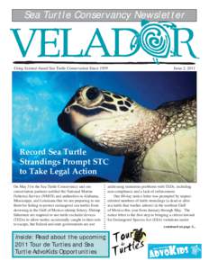 Sea Turtle Conservancy Newsletter  Record Sea Turtle Strandings Prompt STC to Take Legal Action On May 31st the Sea Turtle Conservancy and our