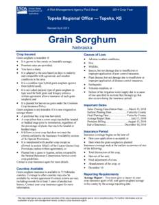 Topeka Regional Office Nebraska Grain Sorghum fact sheet