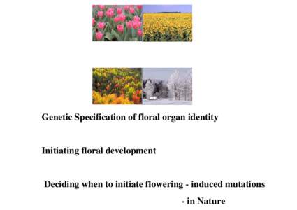 Reproductive system / Plant sexuality / Pollination / ABC model of flower development / Gynoecium / Flower / Petal / Sepal / Stamen / Plant morphology / Biology / Botany