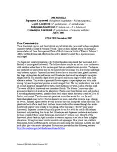 Herbicides / Landscape architecture / Agronomy / Garden pests / Invasive plant species / Japanese knotweed / Fallopia / Glyphosate / Weed control / Agriculture / Polygonaceae / Land management