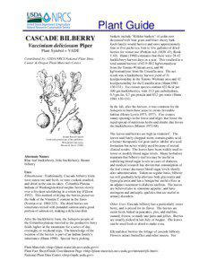 Plant Guide CASCADE BILBERRY Vaccinium deliciosum Piper