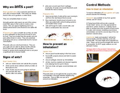 Why are ants a pest? Black gardens ants are a nuisance pest but are not a risk to human health. Their nests are always found in the soil in gardens or under floors. They are completely black in colour. Annually garden an