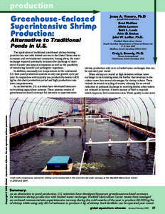 production  Greenhouse-Enclosed Superintensive Shrimp Production: Alternative to Traditional