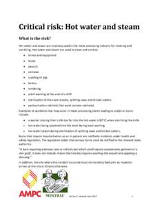 Critical risk: Hot water and steam What is the risk? Hot water and steam are routinely used in the meat processing industry for cleaning and sanitizing. Hot water and steam are used to clean and sanitise: 
