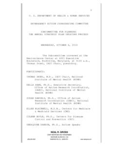 Transcript of the IACC Subcommittee for Planning the Annual Strategic Plan Updating Process Meeting on October 6, 2010