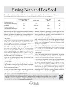 Saving Bean and Pea Seed The large Fabaceae family includes peas, lentils, and an impressive and colourful range of beans. Since a number of pea and bean species are self-pollinating and have small isolation distances, t