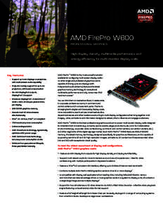 AMD FirePro W600 TM PROFESSIONAL GRAPHICS  High display density, multimedia performance and