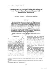 Phyla / Protostome / Agriculture / Mealybug / Anagyrus / Cryptolaemus montrouzieri / Aprostocetus / Chalcid wasp / Parasitoid / Chalcidoidea / Agricultural pest insects / Scale insects