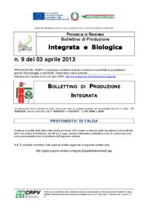 DIREZIONE GENERALE AGRICOLTURA, ECONOMIA ITTICA, ATTIVITÀ FAUNISTICO-VENATORIE  PROVINCIA DI RAVENNA Bollettino di Produzione