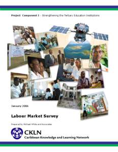 Project Component I - Strengthening the Tertiary Education Institutions  January 2006 Labour Market Survey Prepared by Michael White and Associates