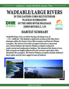 1  Indiana’s State Wildlife Action Plan WADEABLE/LARGE RIVERS IN THE EASTERN CORN BELT/INTERIOR