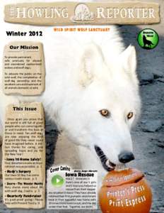 Winter[removed]To provide permanent, safe sanctuary for abused and abandoned cap�ve-bred wolves and wolf-dogs.