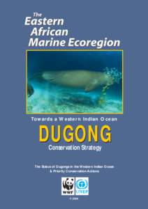 Towards a Wester n Indian Ocean  DUGONG Conservation Strategy  The Status of Dugongs in the Western Indian Ocean
