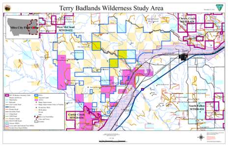 Terry Badlands Wilderness Study Area  Fence MI LW